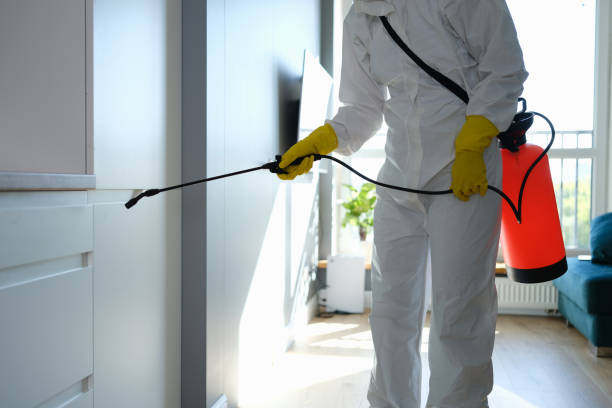 Best Toxic Mold Removal  in Three Lakes, WA